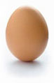 picture of foods containing protein: eggs